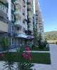 Сдам студию в Сочи, Адлерский, Краснодарский край ул. Искры 66/9, 25 м²