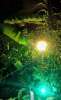 Сдам дом в Сочи, Центральный, Краснодарский край микрорайон Центральный Нагорная ул. 14, 25 м², 10 соток