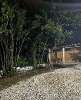 Сдам дом в Сочи, Адлерский, Краснодарский край г.о. с. Верхневесёлое дачное некоммерческое объединение граждан Золотой Гребешок квартал Бригада № 6, 35 м², 2 сотки