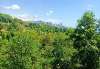 Сдам студию в Сочи, Хостинский, Краснодарский край микрорайон Светлана Депутатская ул. 10Б/1, 25 м²