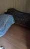 Сдам дом в Сочи, Хостинский, Краснодарский край г.о. с. Раздольное Тепличная ул. 92, 15 м², 6 соток