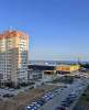 Сдам студию, Краснодарский край Новороссийск пр-т Дзержинского 238, 28 м²