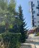 Сдам студию в Сочи, Хостинский, Краснодарский край Курортный пр-т 96Г, 20 м²